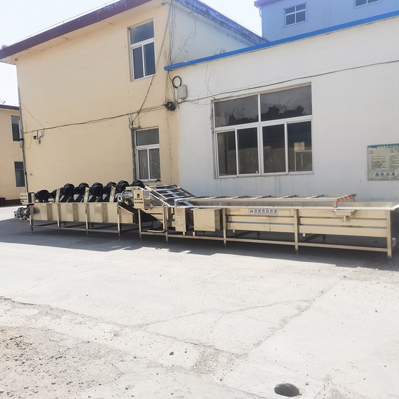 海带丝清洗机 不锈钢全自动清洗设备 气泡清洗机厂家图2