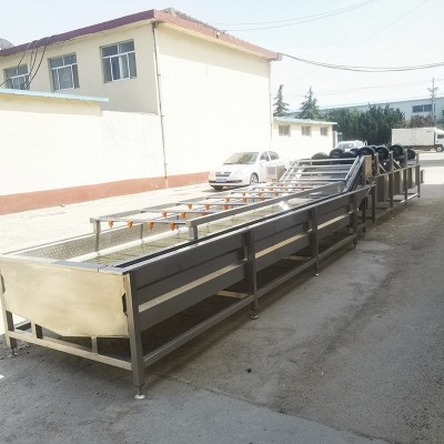 海带丝清洗机 不锈钢全自动清洗设备 气泡清洗机厂家