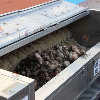 芋头大枣清洗机 土豆红薯毛刷清洗去皮机哪家好