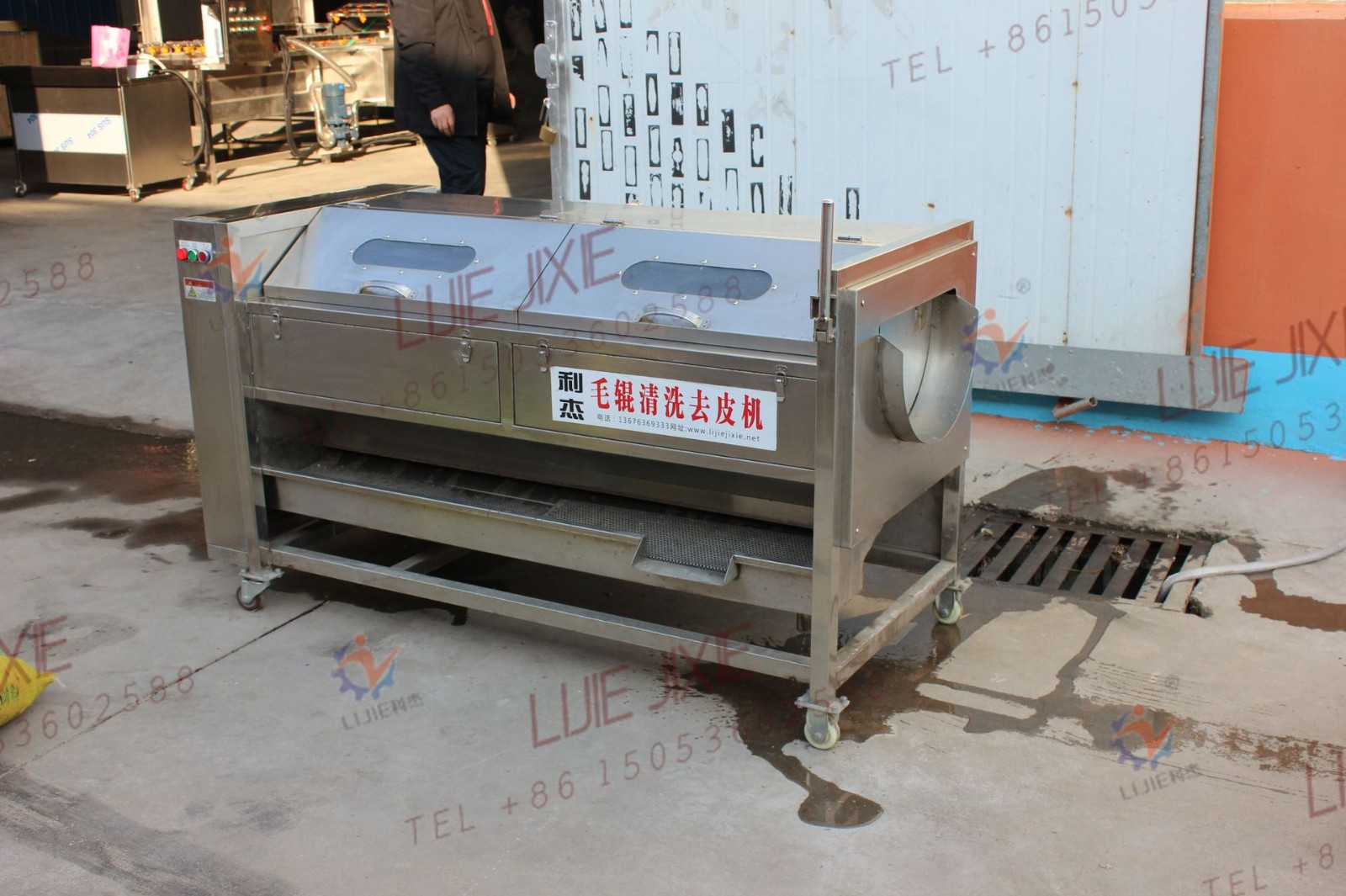 芋头大枣清洗机 土豆红薯毛刷清洗去皮机哪家好图4