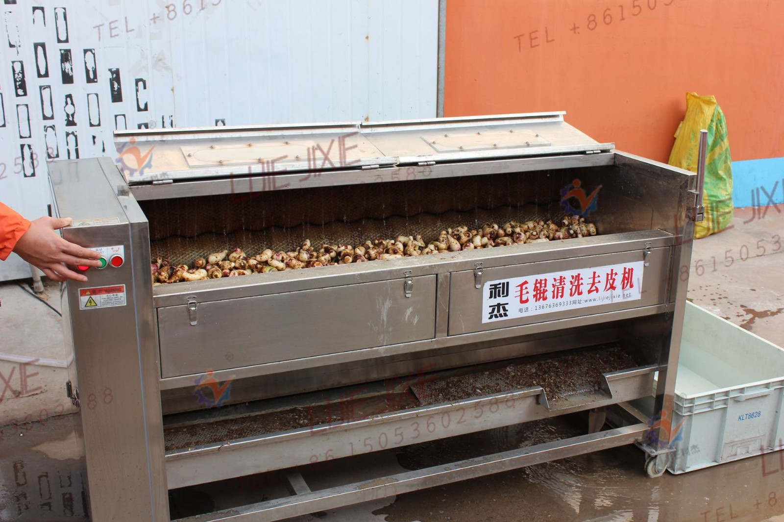 南瓜花生清洗去皮机 土豆红薯毛刷清洗去皮机哪家好图2