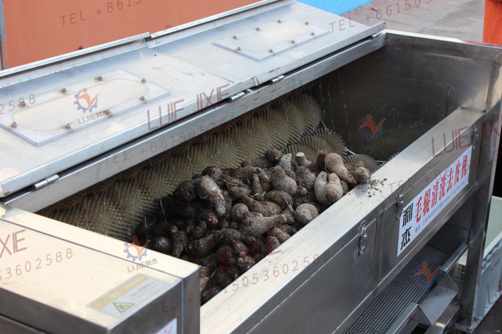 南瓜花生清洗去皮机 土豆红薯毛刷清洗去皮机哪家好