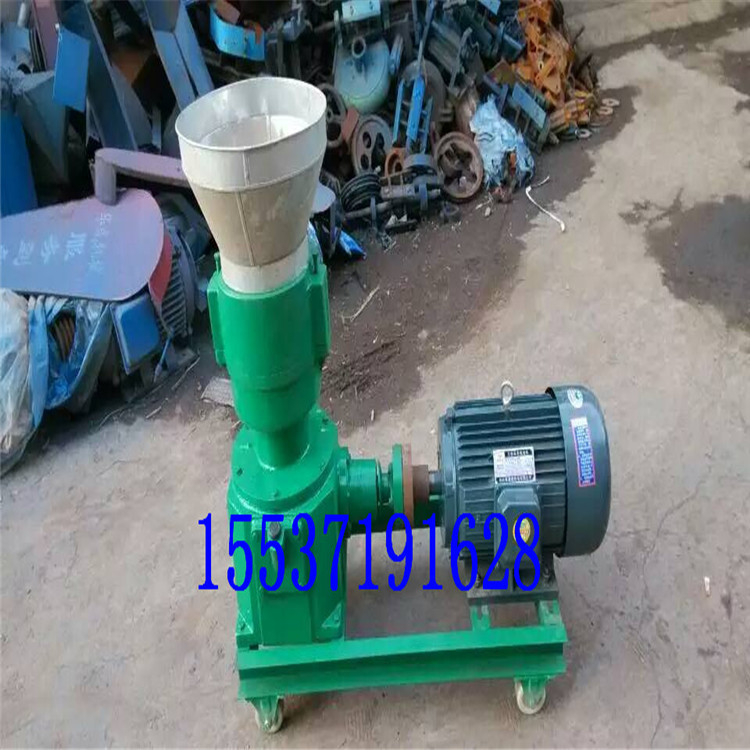 516279894416853011_副本