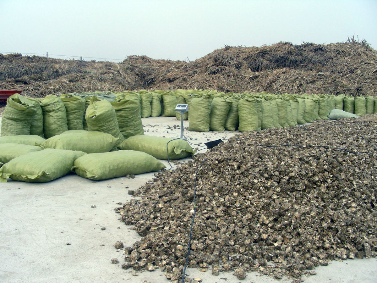 QQ截图20161102104410