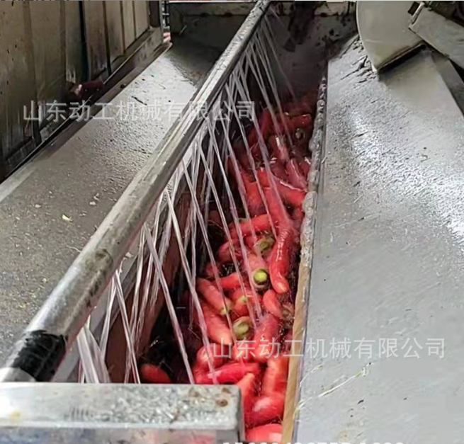 田螺去泥清洗机 不锈钢土豆去皮清洗机 花生红薯地瓜喷淋清洗机图3