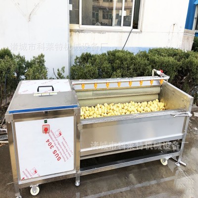 自动清洗去泥机 毛辊去皮机 毛刷清洗机 根茎类清洗加工设备型号