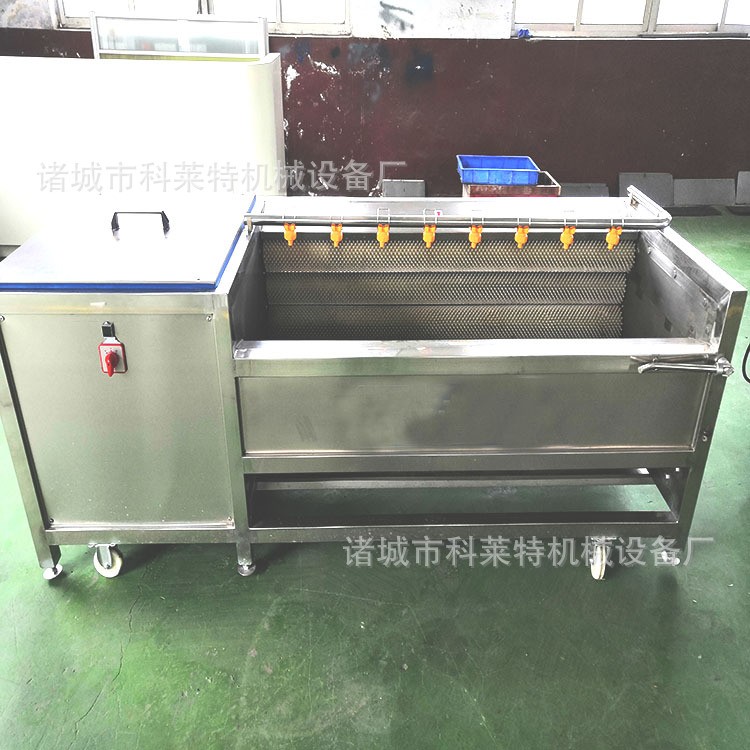 自动清洗去泥机 毛辊去皮机 毛刷清洗机 根茎类清洗加工设备型号图3