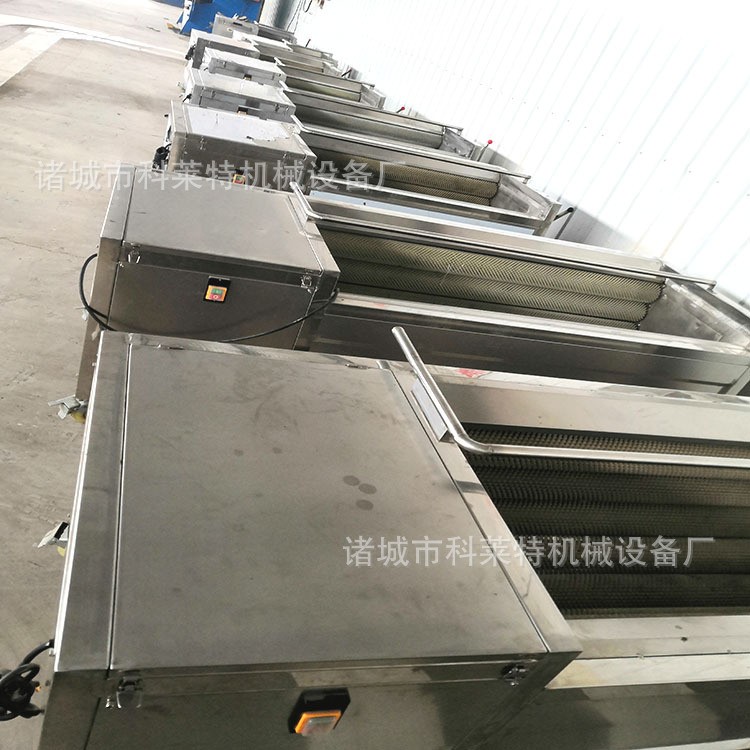 自动清洗去泥机 毛辊去皮机 毛刷清洗机 根茎类清洗加工设备型号图4