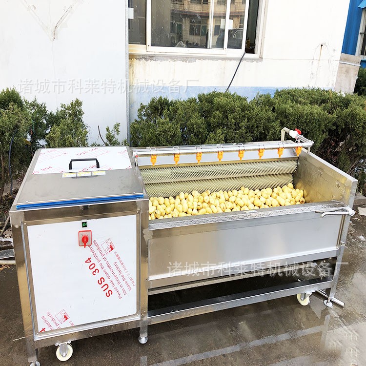 毛辊去皮机 整机304不锈钢材质制作 毛辊毛刷清洗去皮机器图3