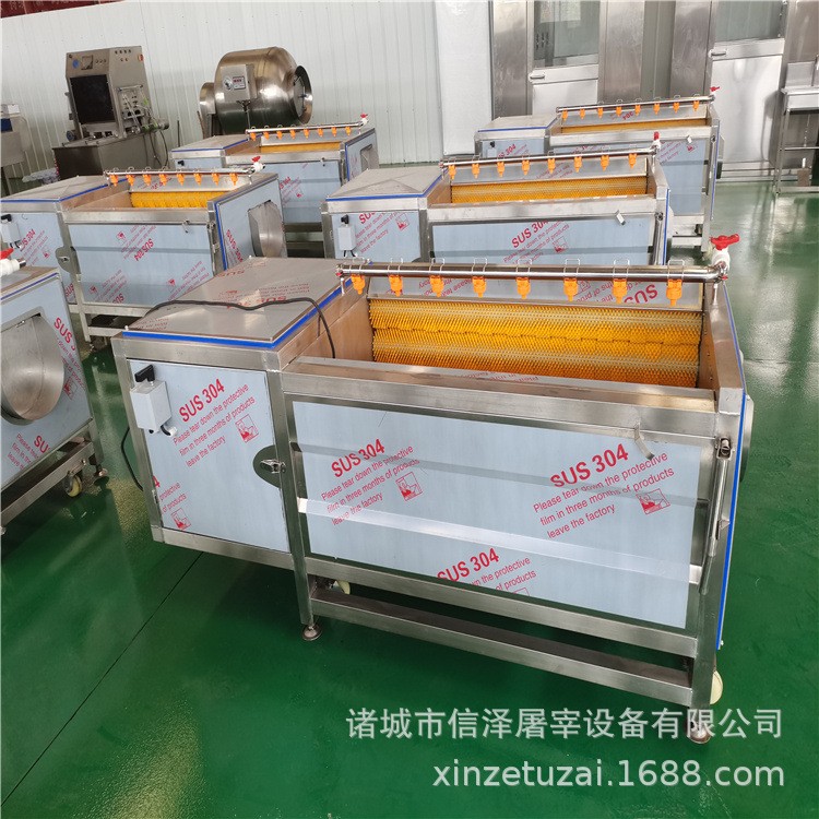xz-1800全自动毛刷清洗机 贝壳类清洗机 平行式毛辊清洗机图4