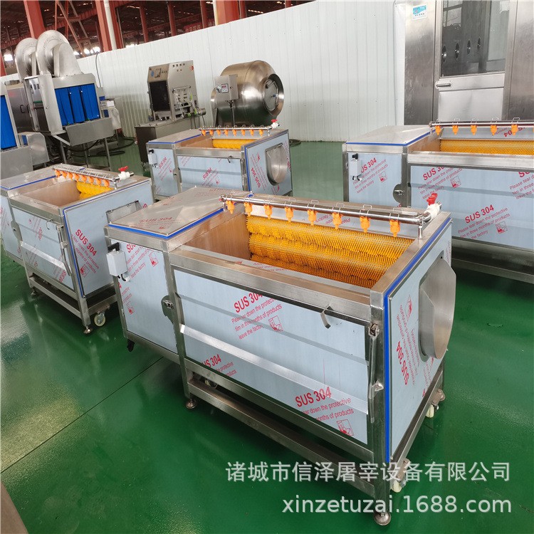 xz-1800全自动毛刷清洗机 贝壳类清洗机 平行式毛辊清洗机图2