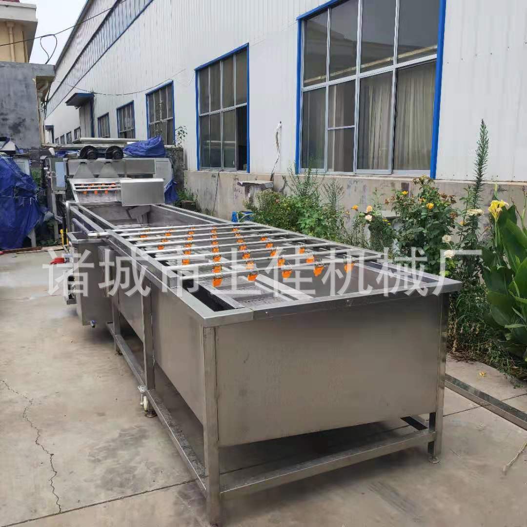 海蛎子毛刷清洗机 去泥去皮果蔬清洗机 多功能毛辊清洗设备图3