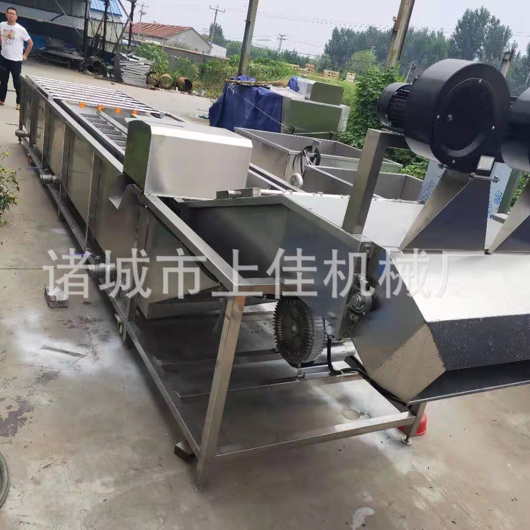 海蛎子毛刷清洗机 去泥去皮果蔬清洗机 多功能毛辊清洗设备图4