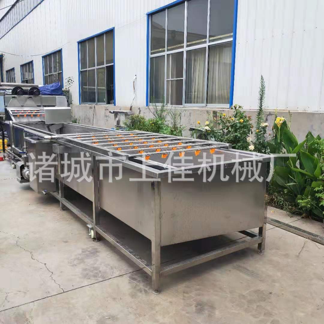 海蛎子毛刷清洗机 去泥去皮果蔬清洗机 多功能毛辊清洗设备图2