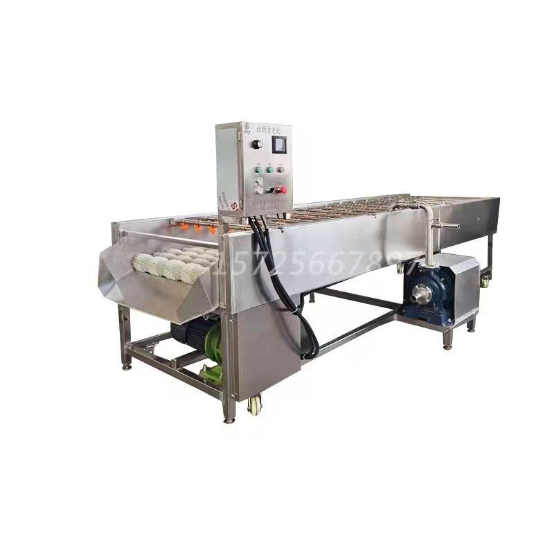 厂家供应牡蛎清洗机 生蚝毛辊清洗机 海蛎子清洗设备品质保证图5