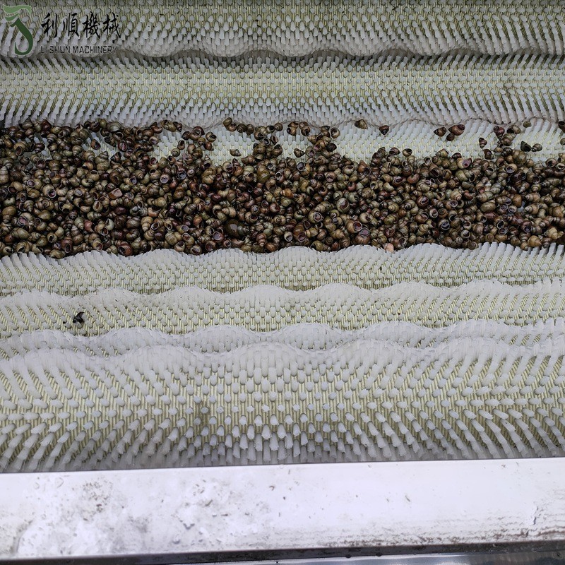 毛辊清洗机 和田玉石毛辊清洗机设备 栗子核桃毛辊清洗机图4