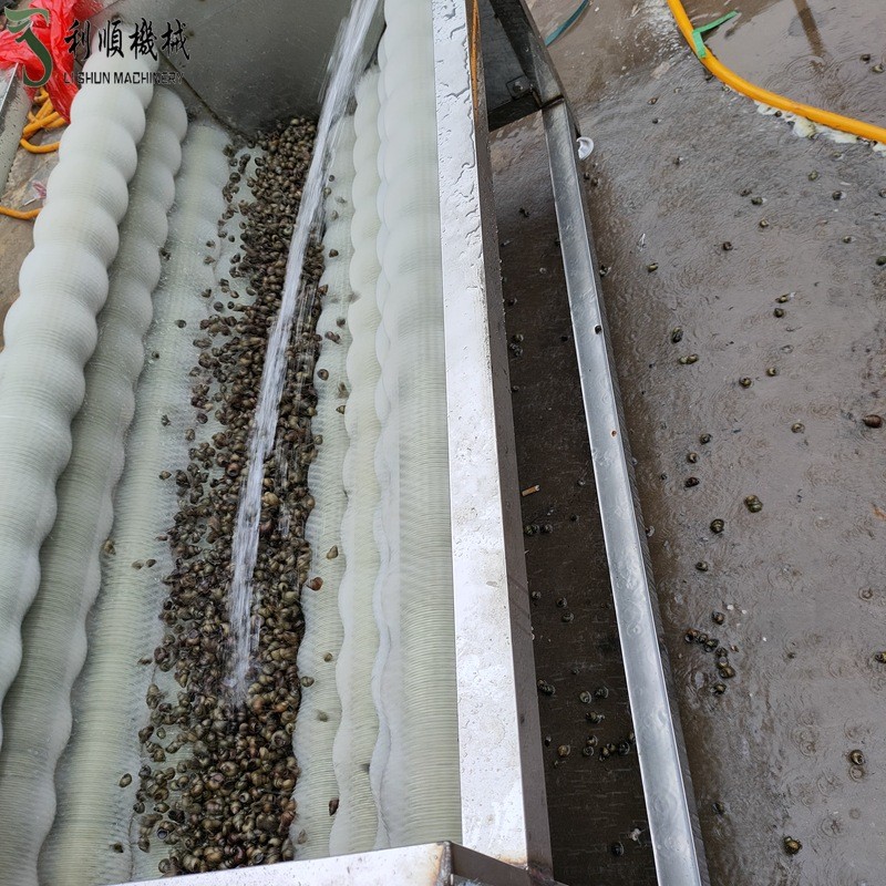 新 全自动清洗机 洗花生毛辊机器 不锈钢栗子毛辊清洗机型号全图2