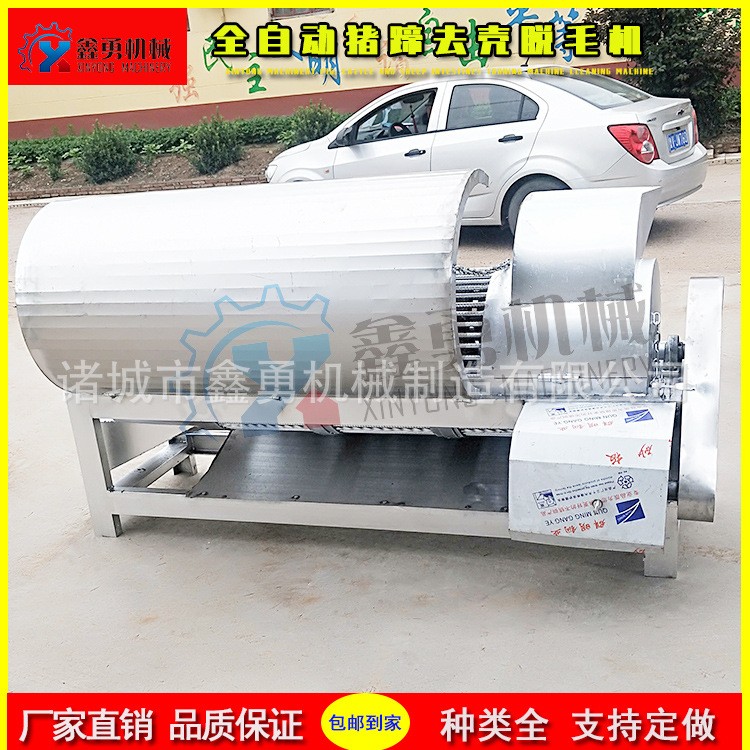卧式不破皮猪蹄脱毛机 连续生猪蹄去毛机 全自动猪蹄打毛设备图3