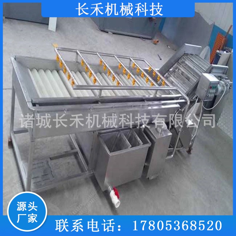 商用小龙虾超声波清洗机 果蔬气泡清洗机 海鲜贝类清洗设备图4