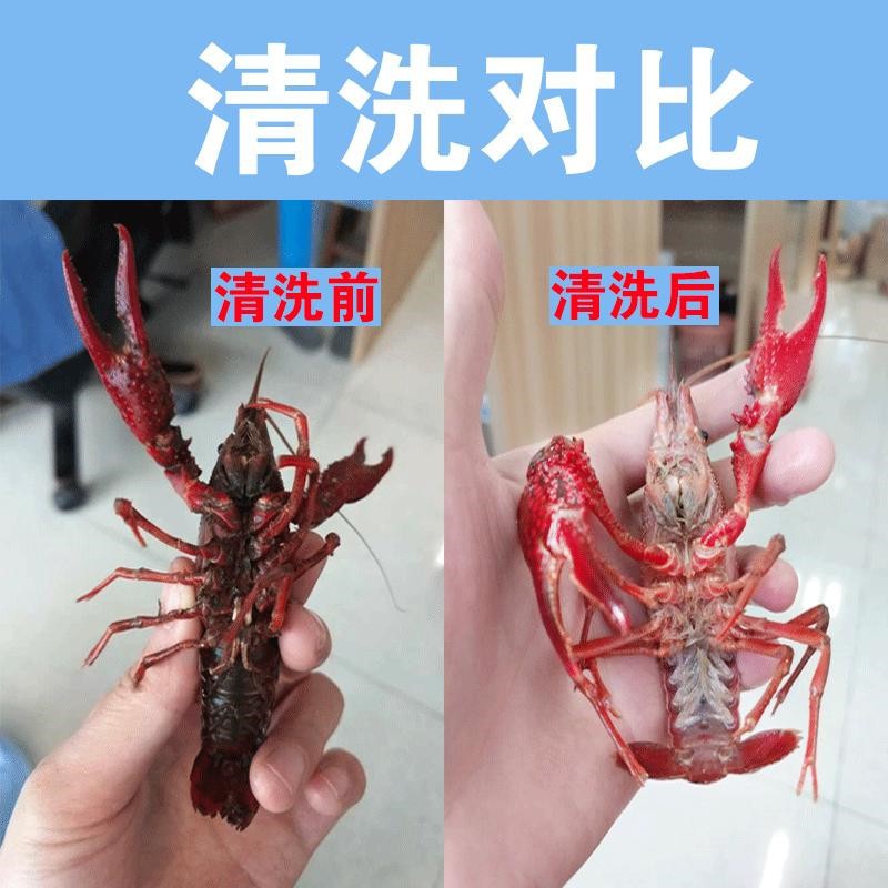 平行式小龙虾毛辊清洗机 土豆山药去泥去皮清洗机 毛刷清洗线设备图4