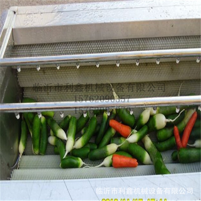 供应毛刷式毛辊清洗机 牛羊头蹄清洗设备 蔬菜瓜果中药材清洗利鑫图3