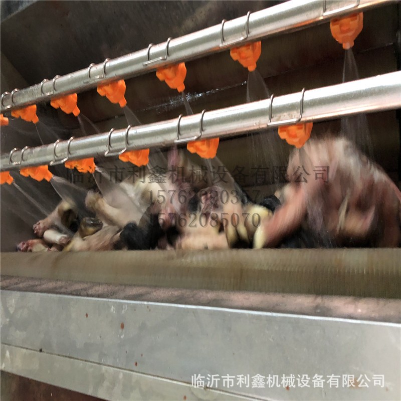 供应毛刷式毛辊清洗机 牛羊头蹄清洗设备 蔬菜瓜果中药材清洗利鑫图5
