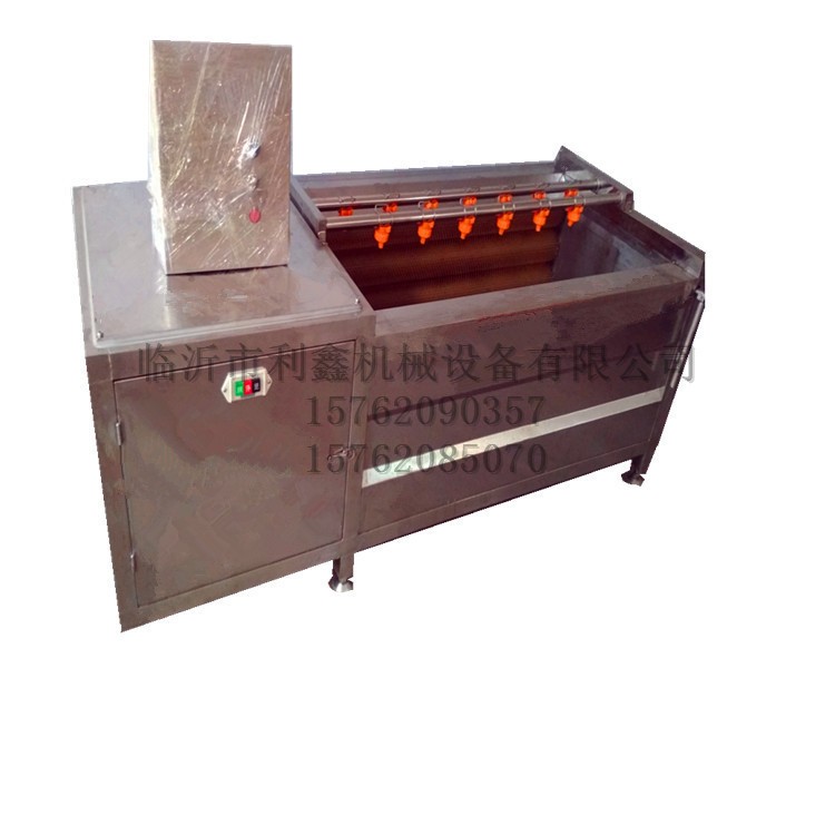 供应毛刷清洗机 毛辊清洗机 猪牛羊驼头蹄耳朵果蔬自动去皮 利鑫图5