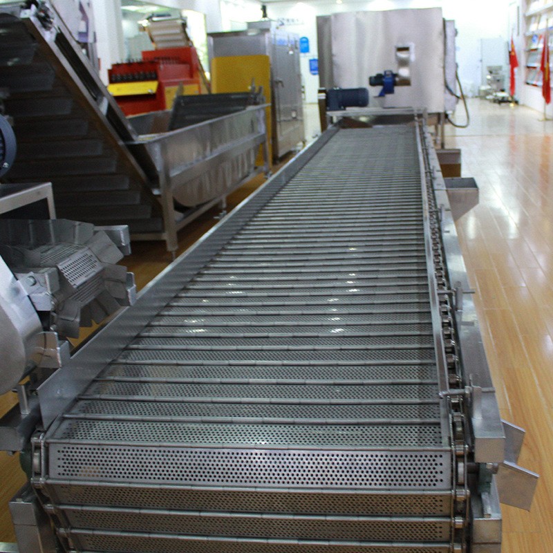 厂家直供坚果清洗提升机 坚果脱皮提升机 自动链式爬坡提升机图2