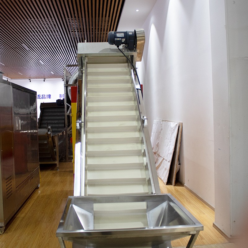 厂家直供坚果清洗提升机 坚果脱皮提升机 自动链式爬坡提升机图4