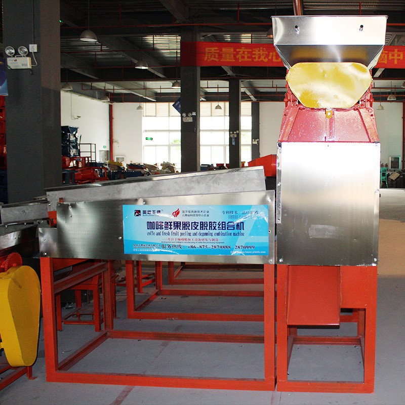 180-5000大型咖啡鲜果脱皮脱胶全自动生产线厂家直供批发去皮机图5