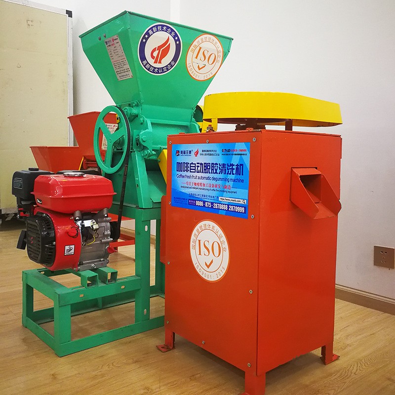 咖啡鲜果脱皮脱胶组合机150-800kgh t脱壳机 咖啡脱胶清洗机高效图2