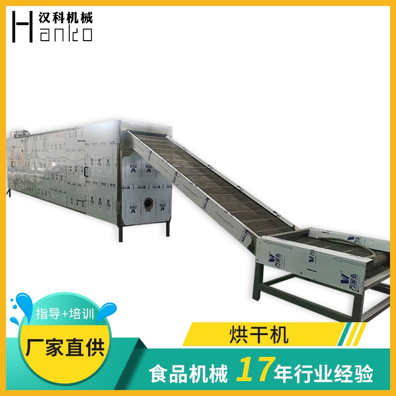 恒温高温隧道烤箱 网带式烘箱 热风循环烘干箱 高温隧道烘干烤箱图4