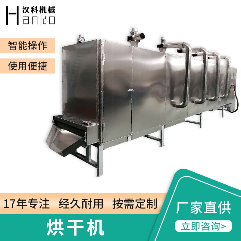 恒温高温隧道烤箱 网带式烘箱 热风循环烘干箱 高温隧道烘干烤箱图3