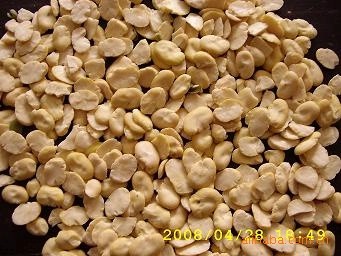 TK-500B蚕豆脱壳机图5