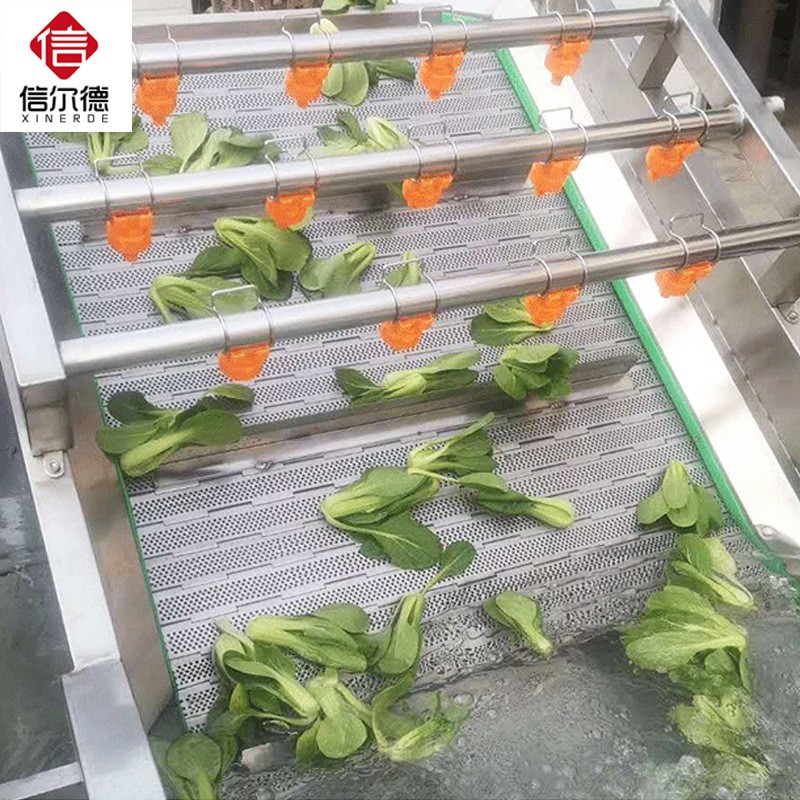 蔓越莓气泡果蔬清洗机 全自动山野菜蔬菜加工设备 酱菜脱盐清洗机图2