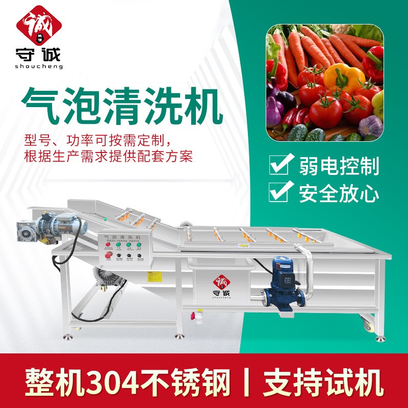 厂家供应气泡清洗机 全自动果蔬牛肚清洗机 喷淋式牛百叶清洗机