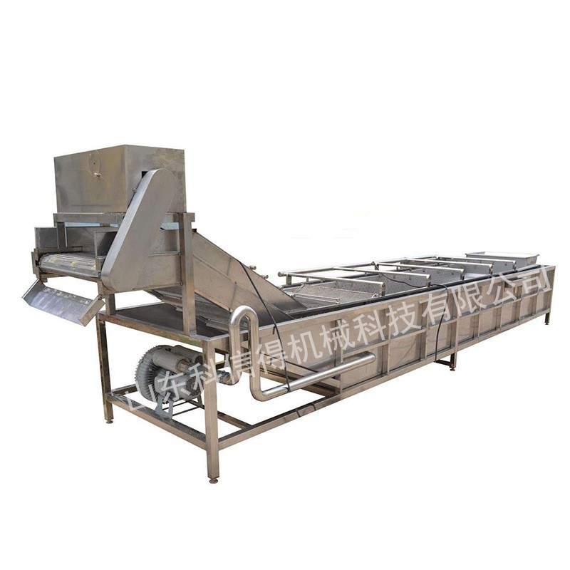 瓶盖子清洗流水线 喷淋式中药材气泡清洗机 叶菜类清洗流水线图5