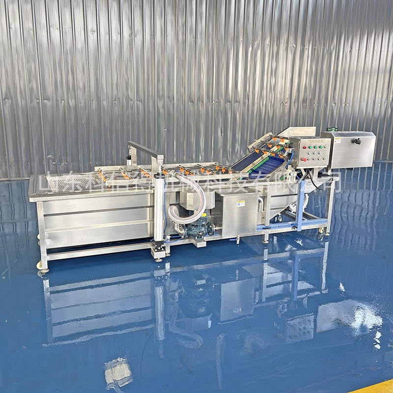 科信得专业生产 净菜加工清洗线 气泡涡流 蘑菇香菇气泡清洗机图3