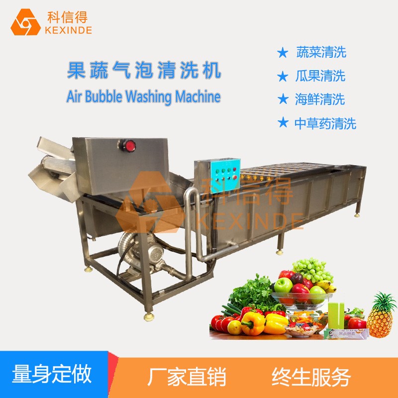 科信得专业生产 果蔬喷淋式气泡清洗设备 全自动蔬菜清洗机图2