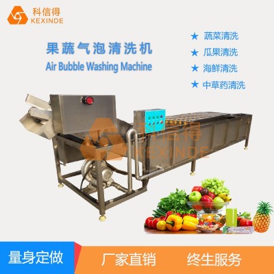 科信得专业生产 果蔬喷淋式气泡清洗设备 全自动蔬菜清洗机