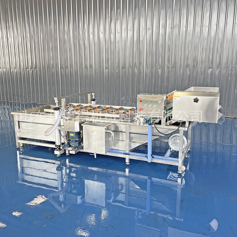 科信得专业生产 果蔬喷淋式气泡清洗设备 全自动蔬菜清洗机图3