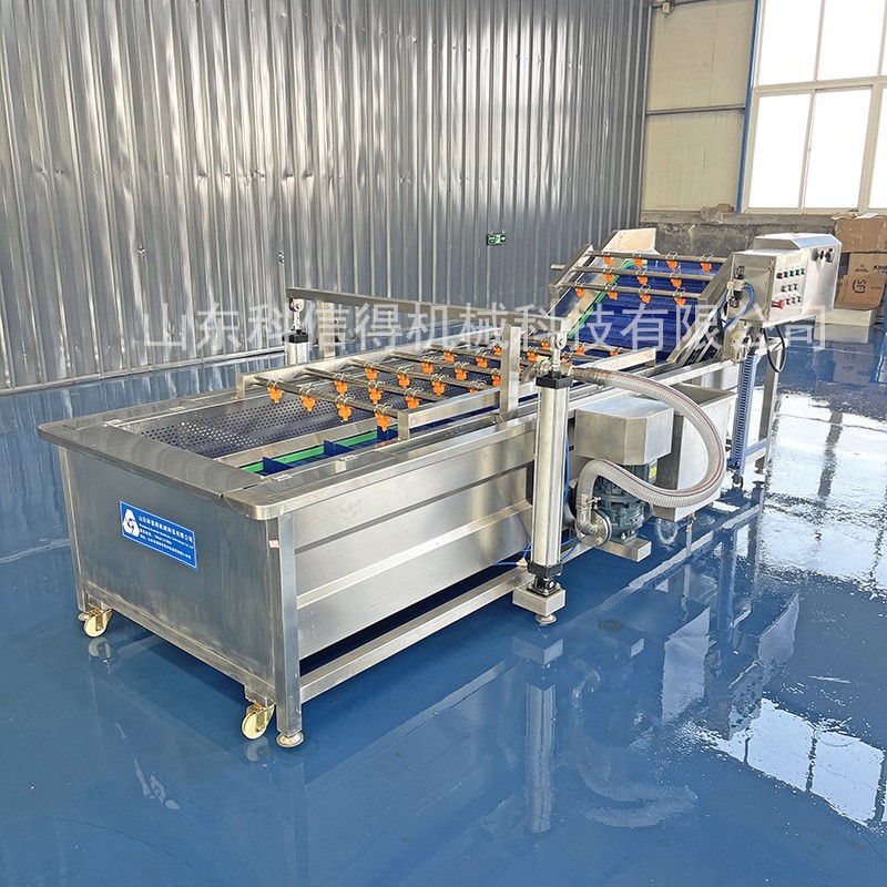 科信得专业生产 果蔬喷淋式气泡清洗设备 全自动蔬菜清洗机图4