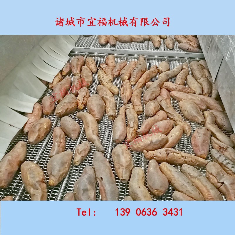 诸城红薯清洗机,烤地瓜清洗流水线,宜福不破皮红薯清洗烘烤机厂家
