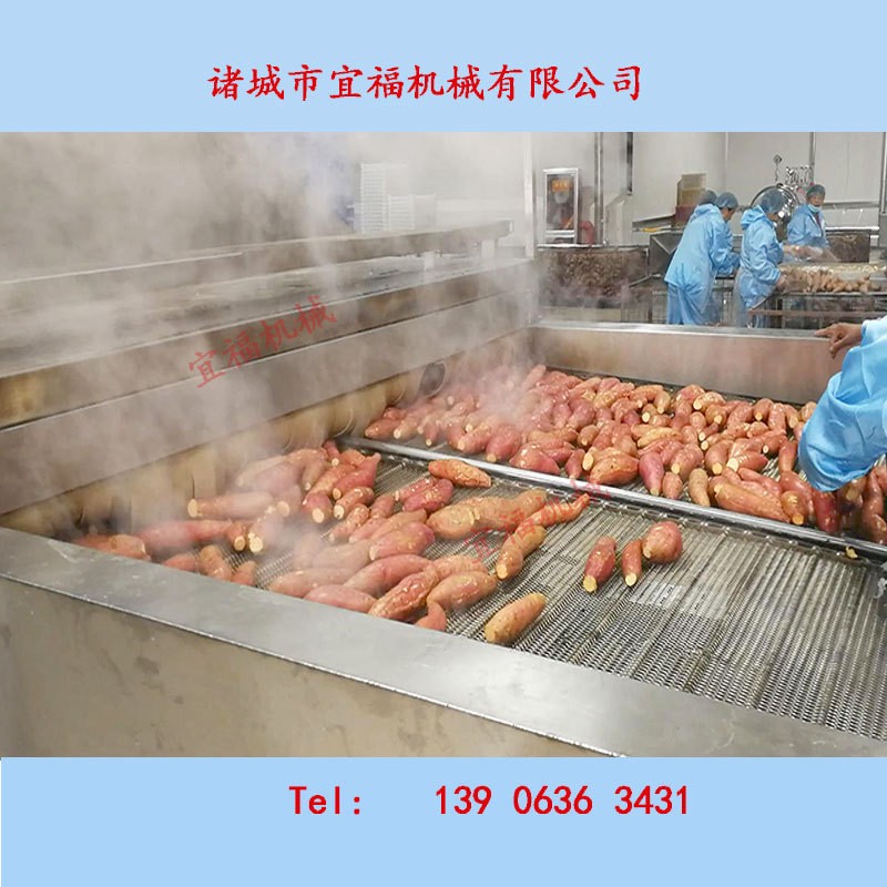 诸城红薯清洗机,烤地瓜清洗流水线,宜福不破皮红薯清洗烘烤机厂家图4