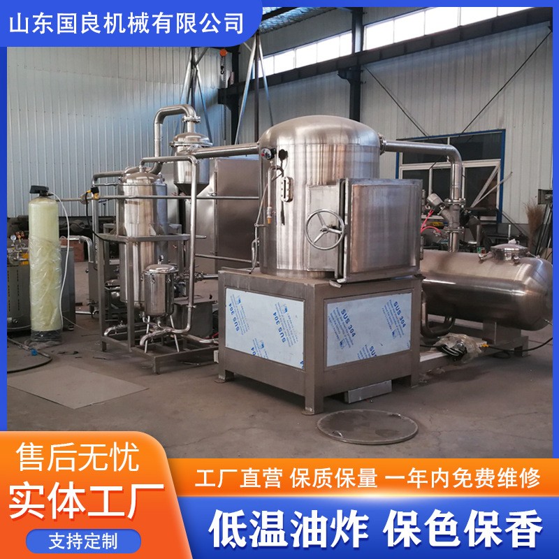 猕猴桃片VF真空油炸机技术 四季豆低温油炸锅 保色保香 耗能低