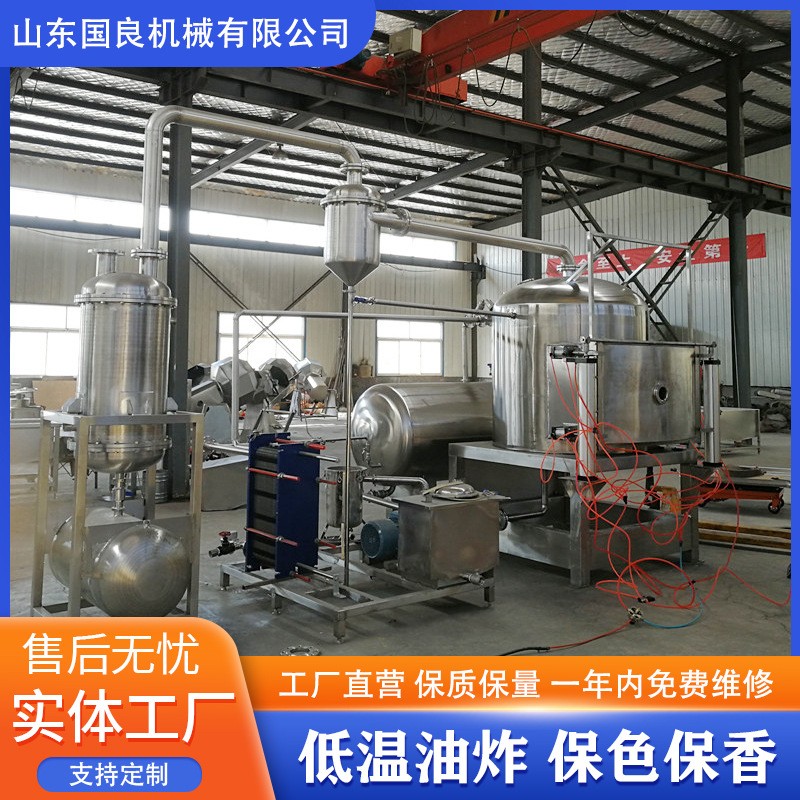 猕猴桃片VF真空油炸机技术 四季豆低温油炸锅 保色保香 耗能低图3