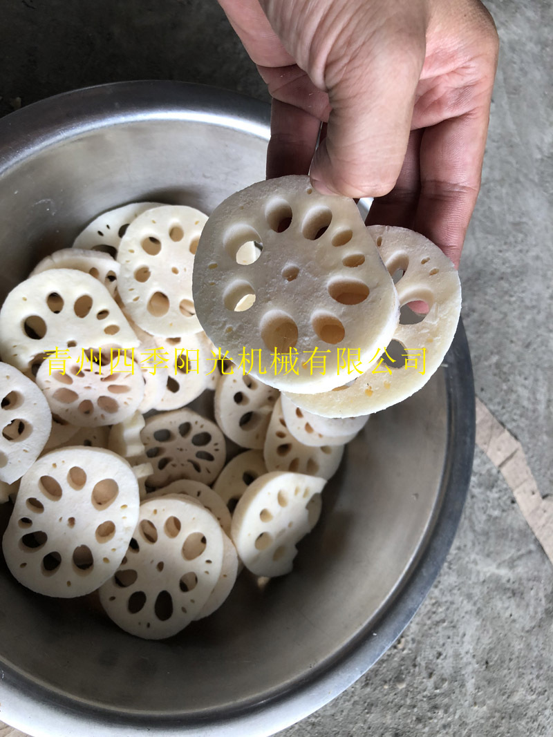 循环链条式速冻机