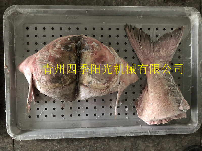 循环链条式速冻机