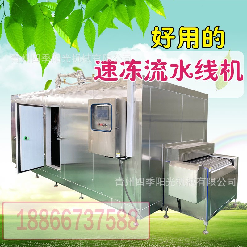 不锈钢链条式速冻机流水线 冷冻玉米蔬菜南瓜饼鱿鱼等各种食品图5