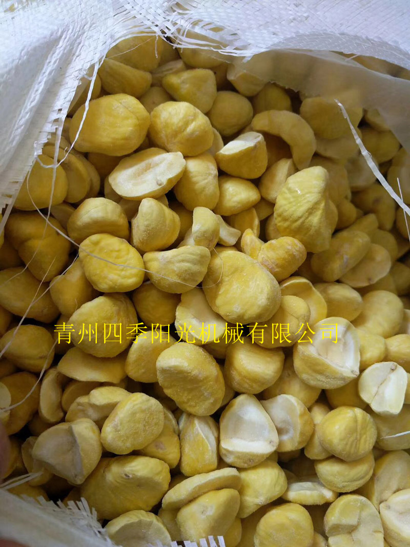 循环链条式速冻机